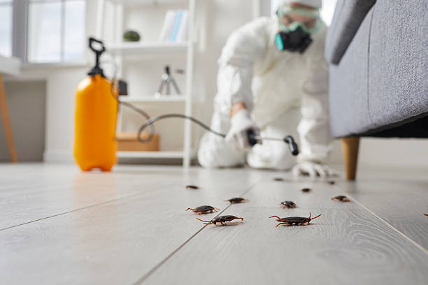 Commercial Kitchen Cockroach Control in Twinsburg Heights